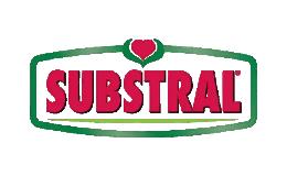 Substralinis